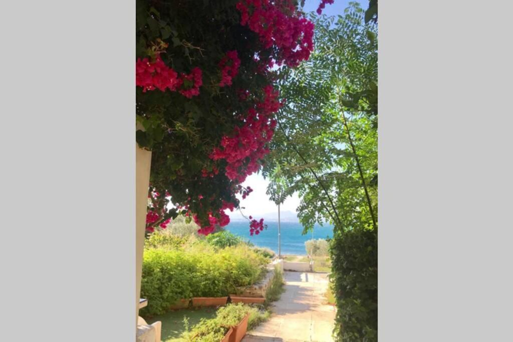 Studio On The Beach ลูตรากี ภายนอก รูปภาพ